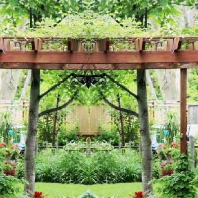 vertical-garden-project